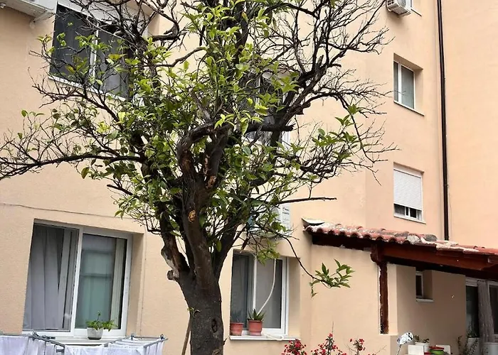 Bright 50m From The Himarë